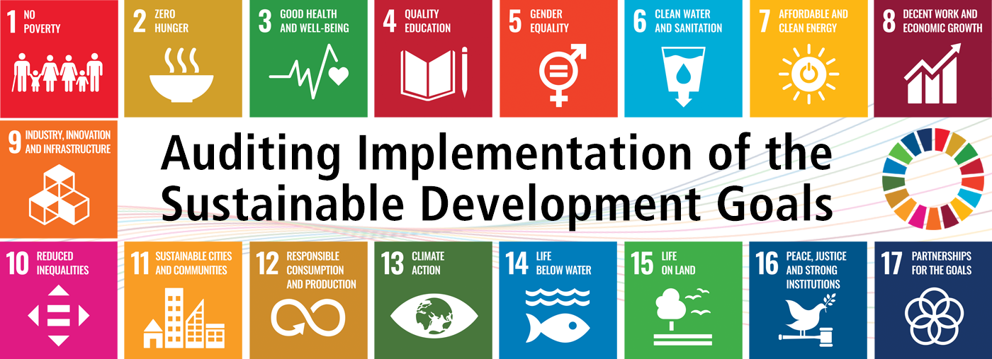 Auditing Implementation of the Sustainable Development Goals