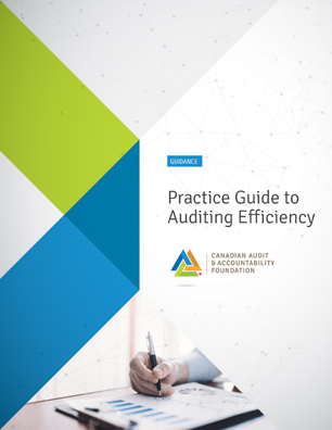 Practice Guide to Auditing Efficiency