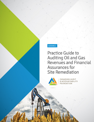 Practice Guide to Auditing Oil and Gas Revenues and Financial Assurances for Site Remediation