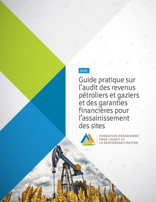 Guide pratique sur l'audit des revenus pétroliers et gaziers et des garanties financières pour l'assainissement des sites