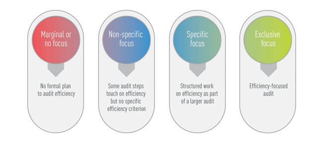 The Spectrum of Audits of Efficiency