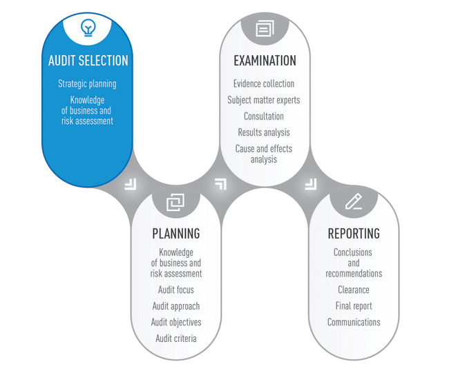 Audit Topic Selection and Definition