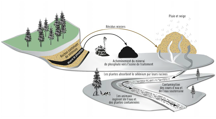 Exemple de schéma montrant les impacts environnementaux potentiels du processus d’extraction d’un minéral
