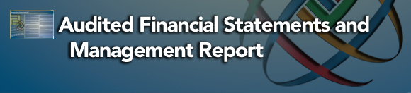 Audited Financial Statements