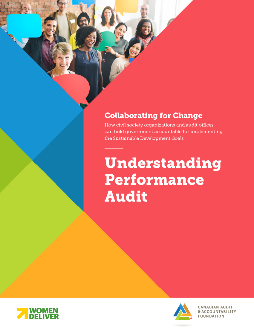 Understanding Performance Audit