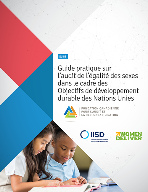 Guide pratique sur l’audit de l’égalité des sexes dans le cadre des Objectifs de développement durable des Nations Unies
