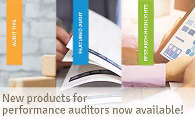 New products for performance auditors now available!