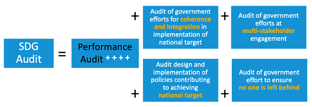 SDG Audit Diagram