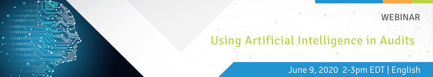 Using Artificial Intelligence in Audits