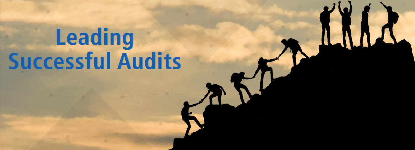 Leading Successful Audits