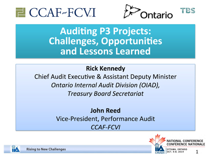 Auditing P3 Projects: Challenges, Opportunities and Lessons Learned